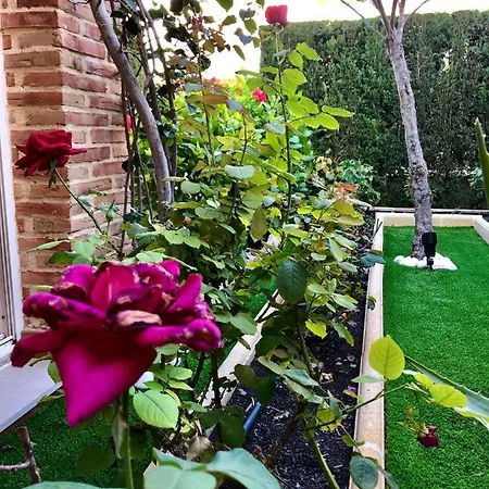 Apartamento Zeniamar